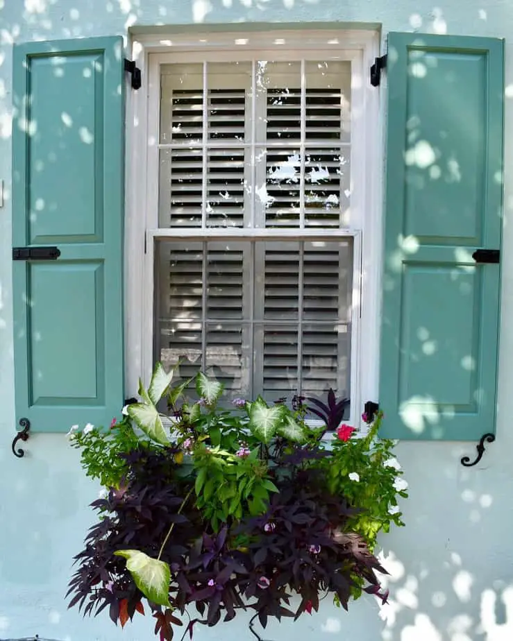What Are Shutters? Everything You Ever Needed To Know